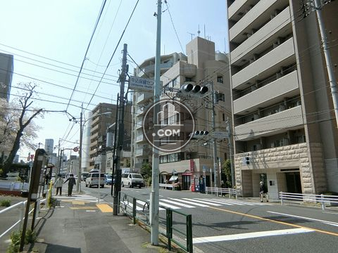大通り