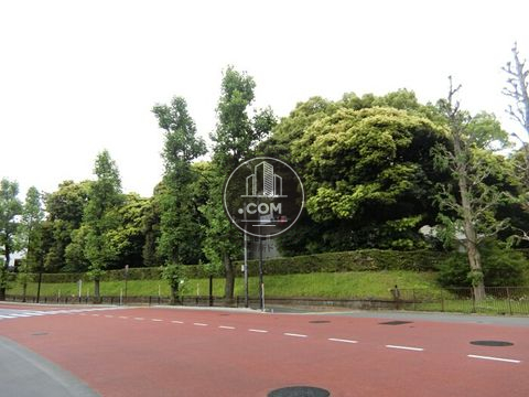 大通り