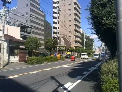 大通り