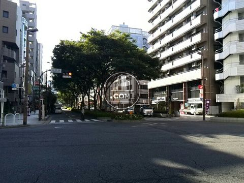 大通り