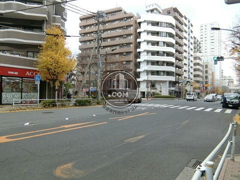 大通り