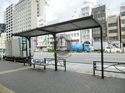 大通り