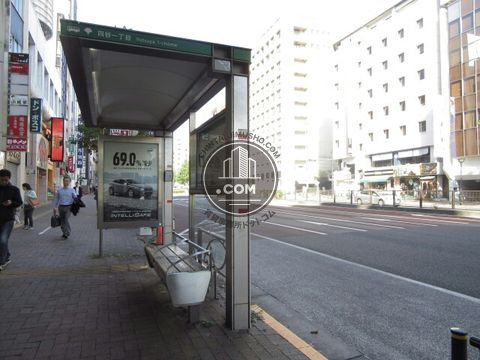 大通り