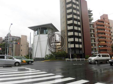 大通り