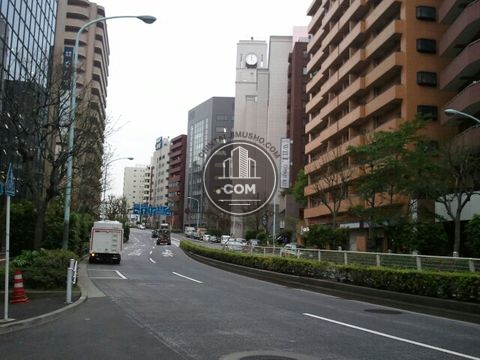 大通り
