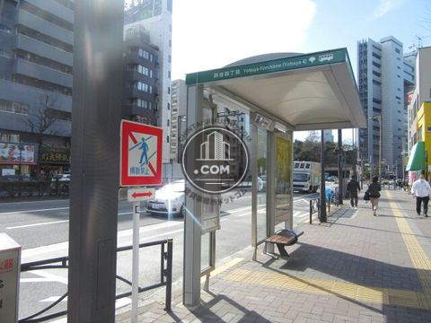 大通り