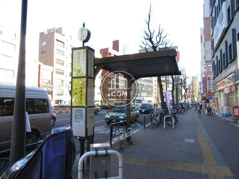 大通り