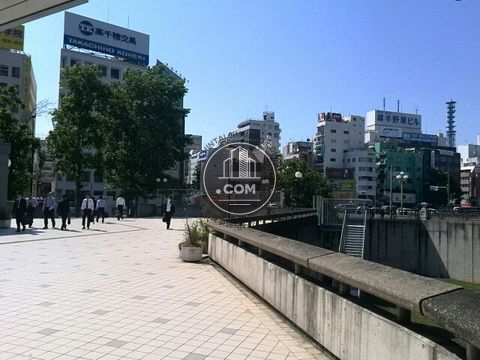 駅周辺