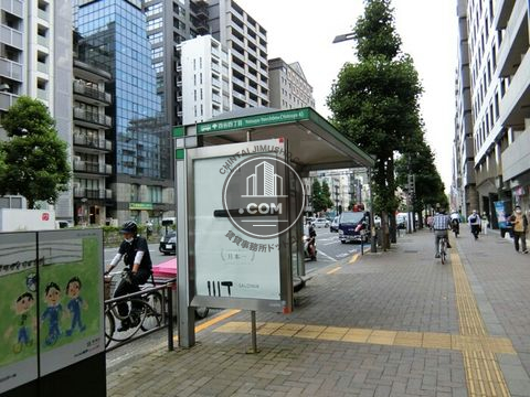 大通り