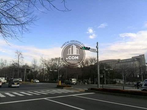 大通り
