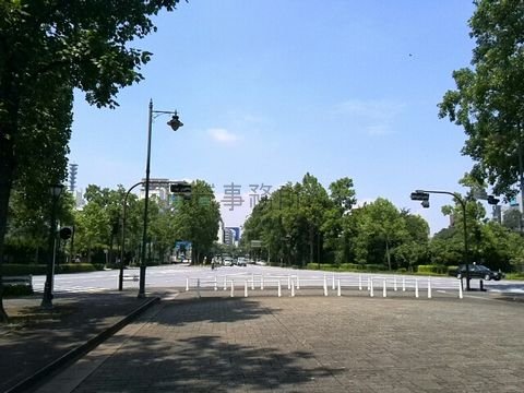 若葉東公園から外堀通り四谷駅方面