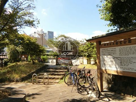 裏路地