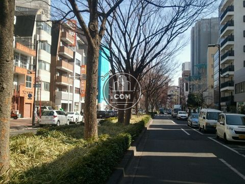 大通り