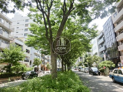 大通り