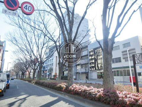 大通り