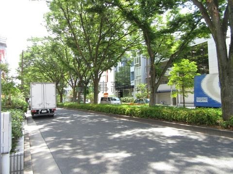 早大通り