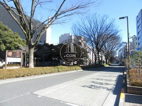 大通り
