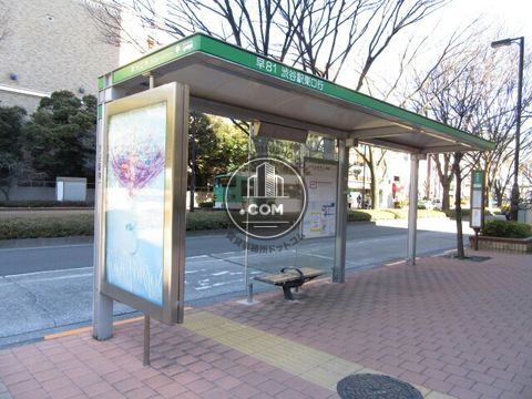 大通り