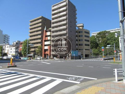 大通り