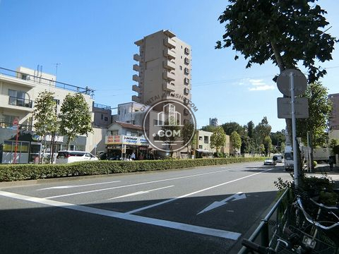 大通り