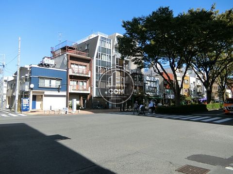 大通り