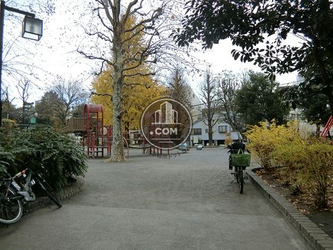 裏路地