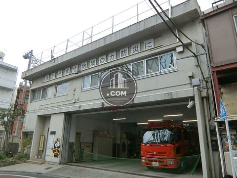 大通り