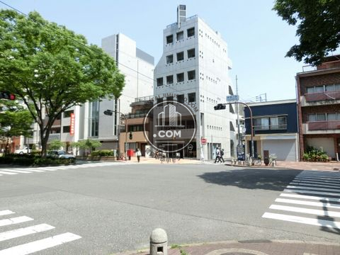 大通り