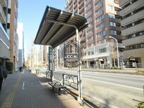 大通り