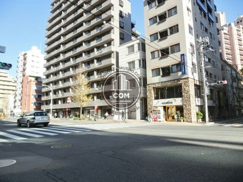 大通り