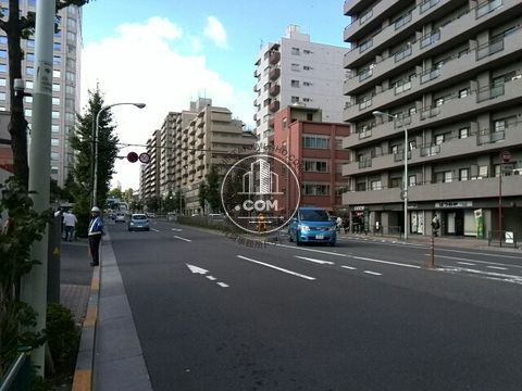 大通り