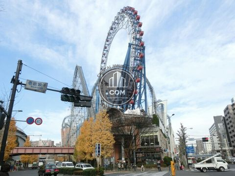大通り