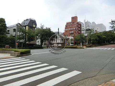 大通り