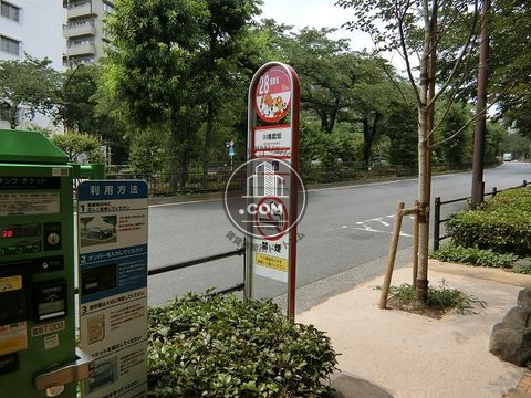 大通り