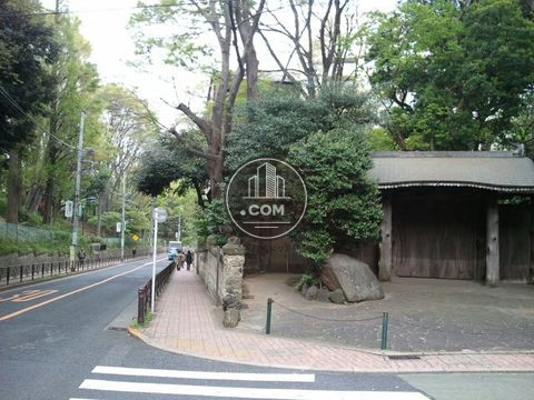 裏路地