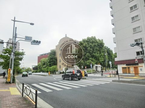 大通り