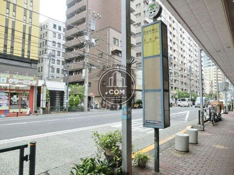 大通り