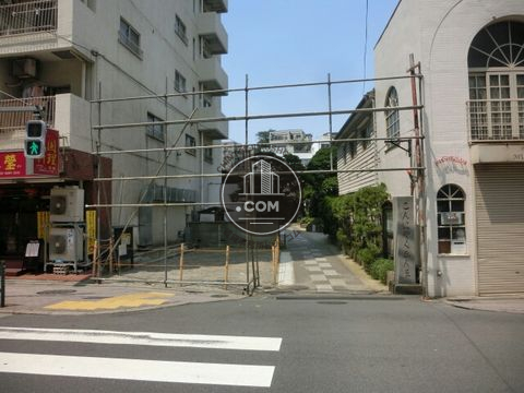 大通り