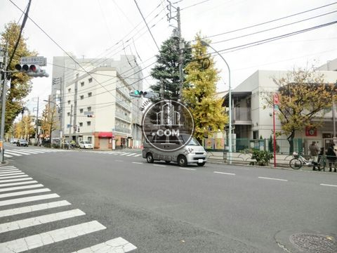 大通り