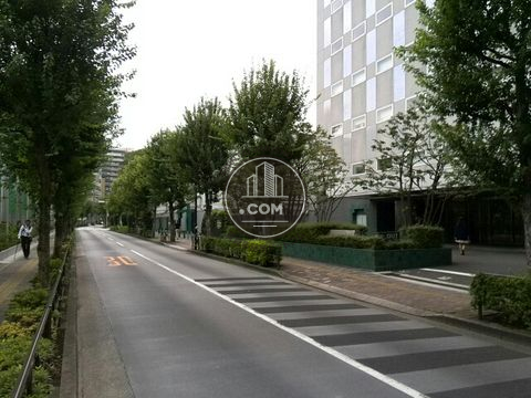 裏路地