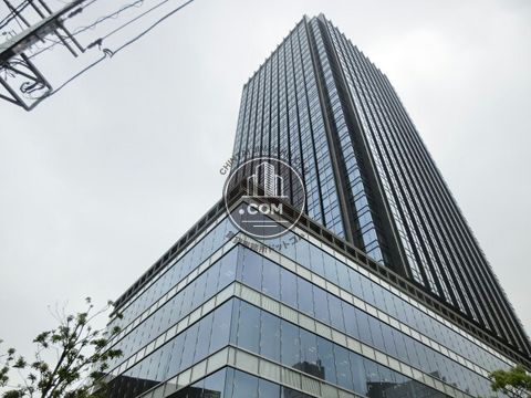 大通り
