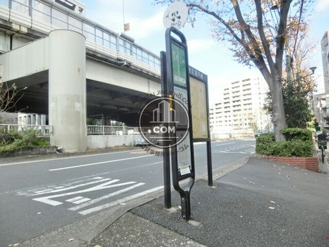 大通り