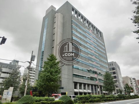 大通り