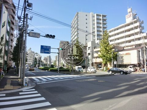 大通り