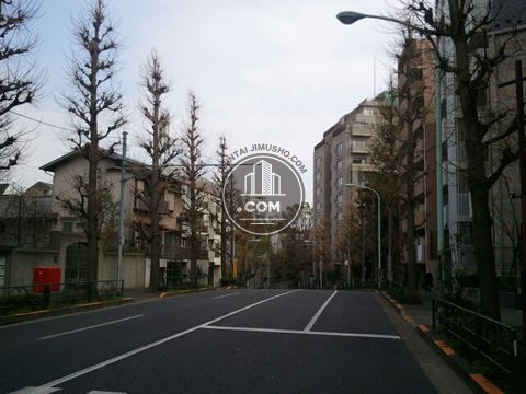 大通り