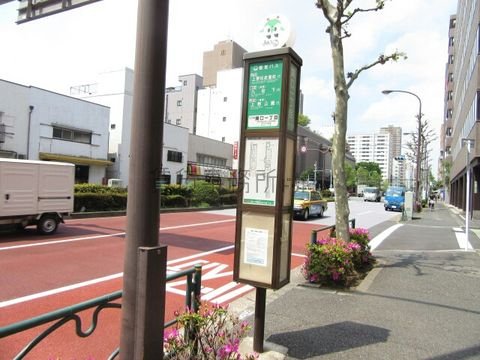 バス停 (関口二丁目)