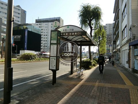大通り