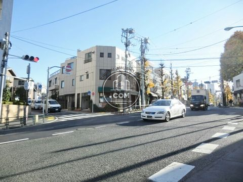 大通り