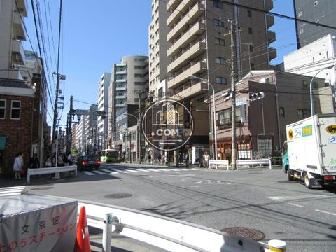 大通り