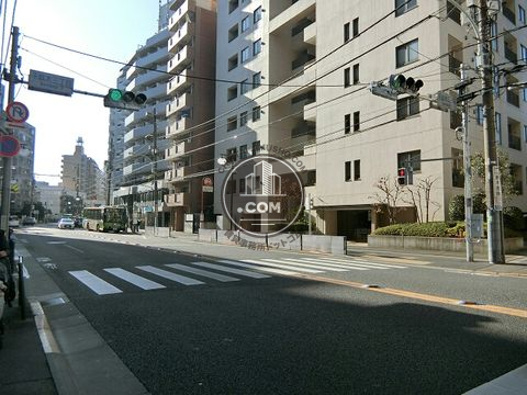 大通り